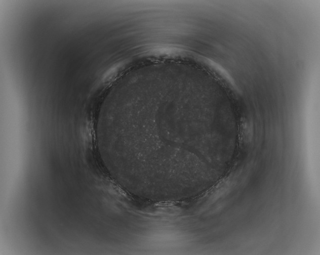 X0000113260918200909101456