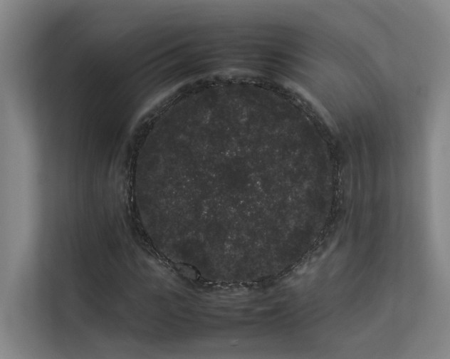 X0000113260919200909101456