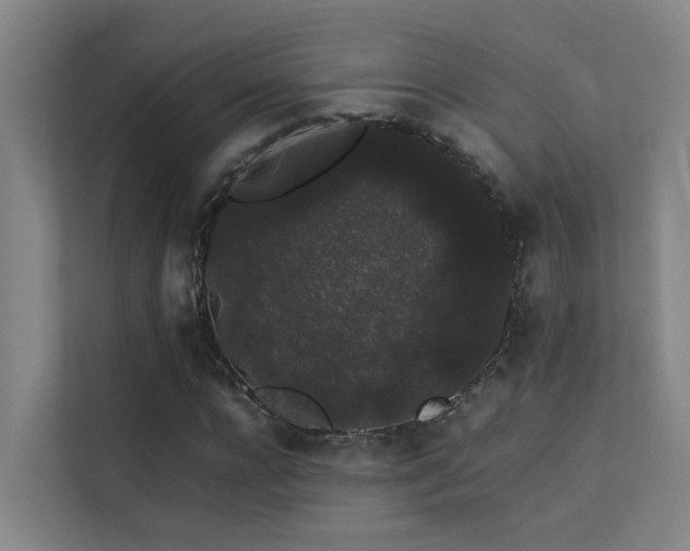 X0000113260920200909101456