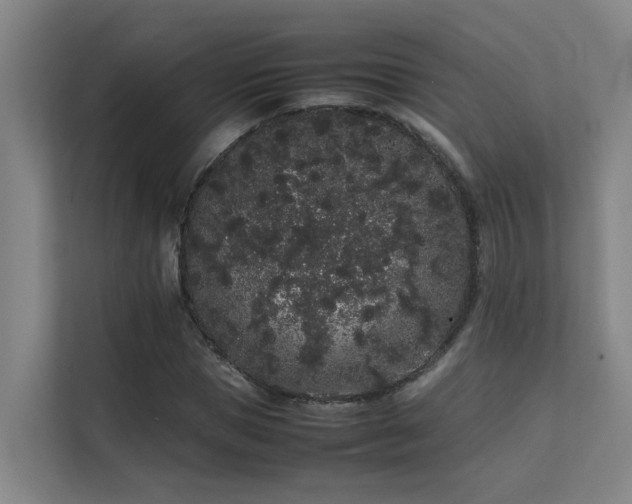 X0000113260921200909101456