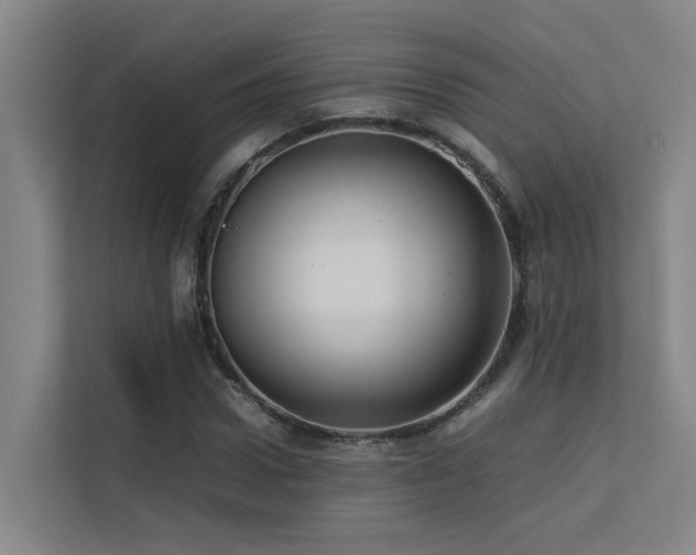 X0000113260922200909101456