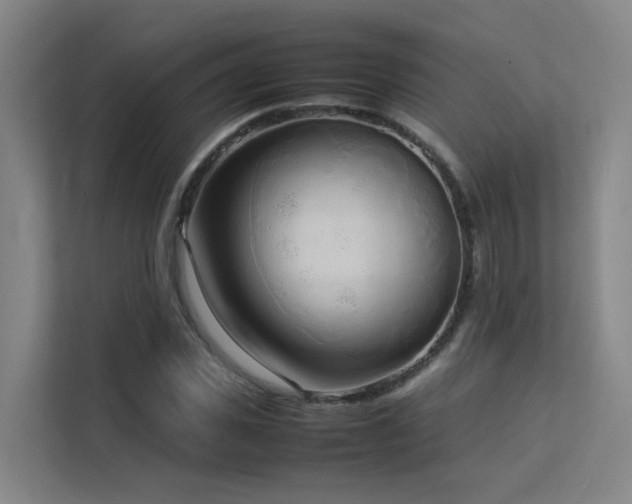 X0000113260925200909101456