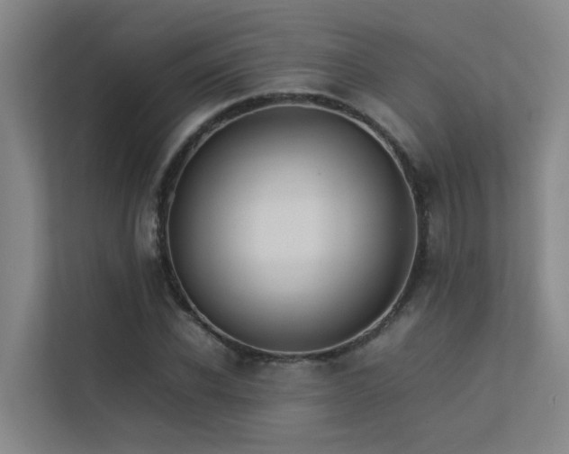 X0000113260926200909101456