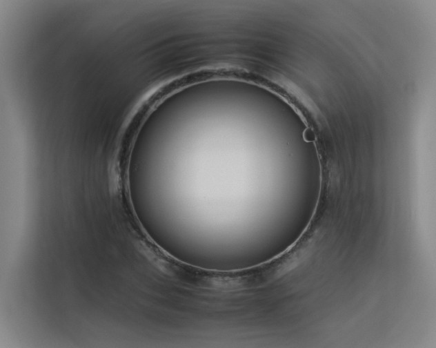 X0000113260927200909101456