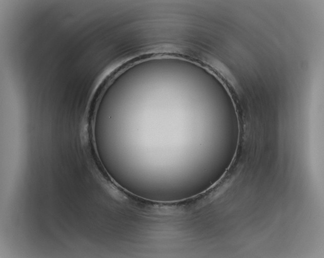 X0000113260928200909101456