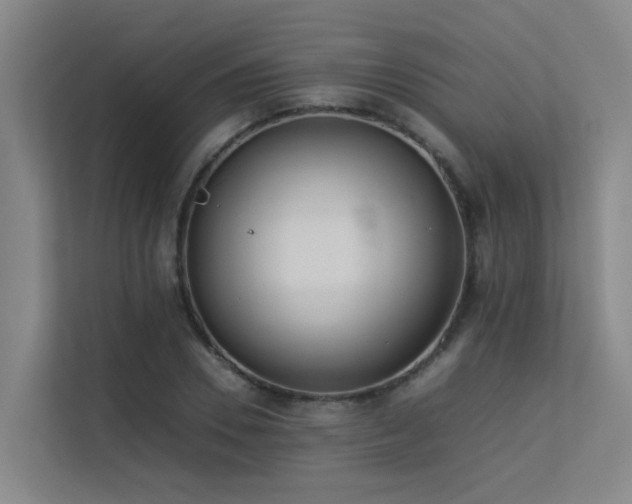 X0000113260930200909101456