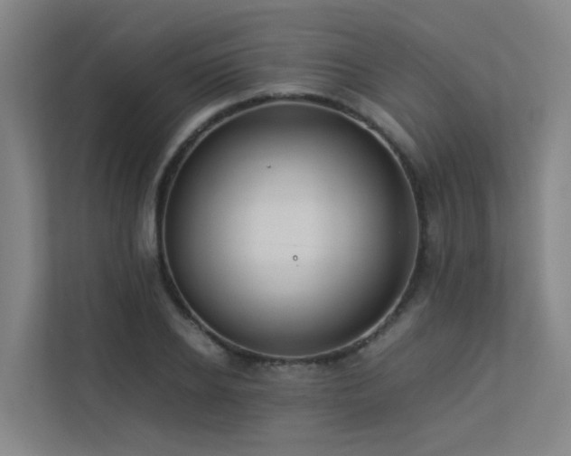 X0000113260934200909101456