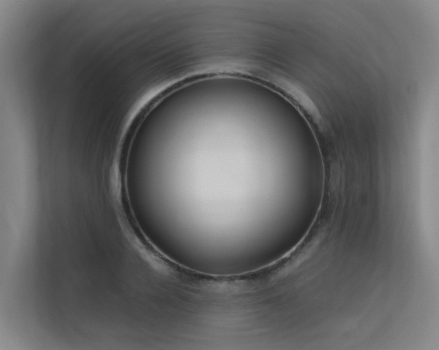 X0000113260936200909101456