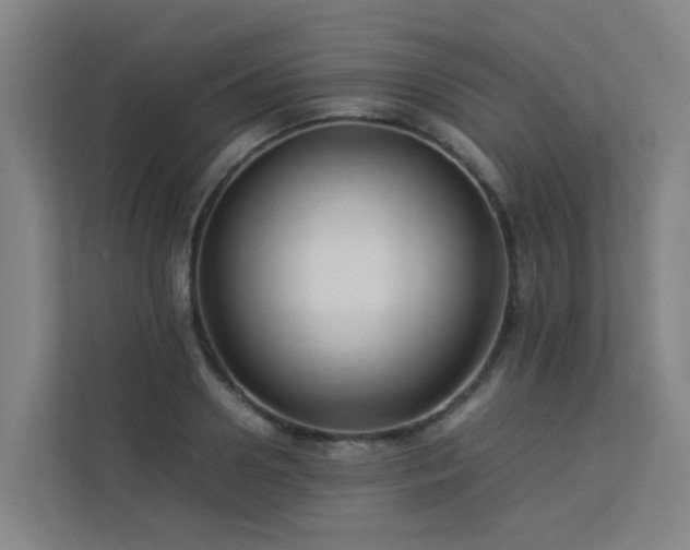 X0000113260938200909101456