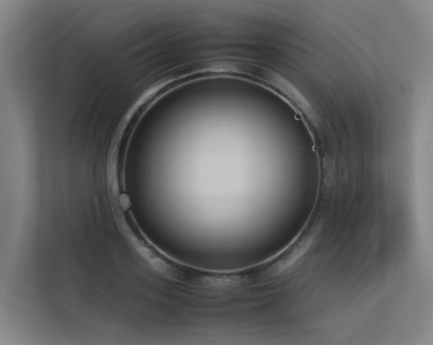 X0000113260939200909101456