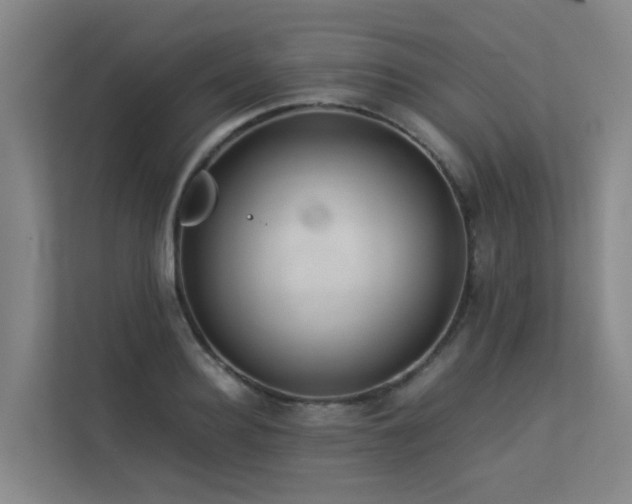 X0000113260940200909101456