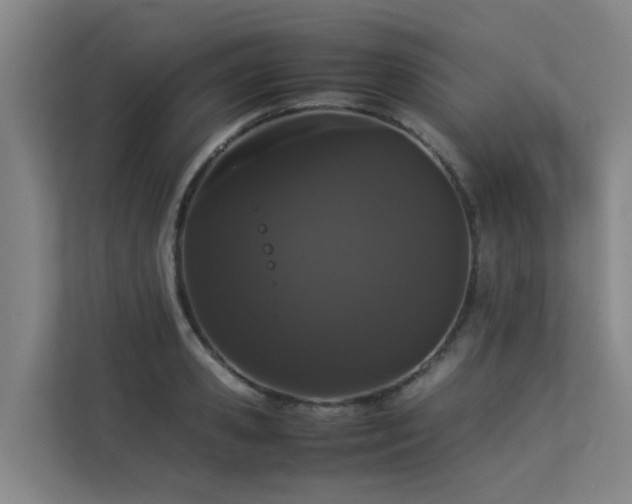 X0000113260941200909101456