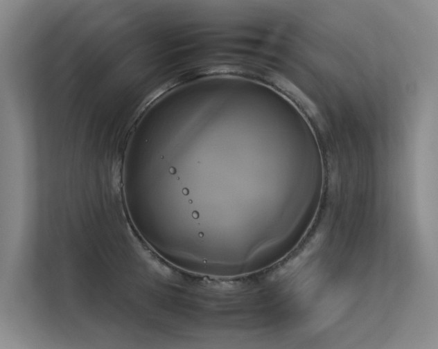 X0000113260945200909101456