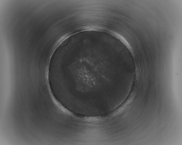 X0000113260946200909101456