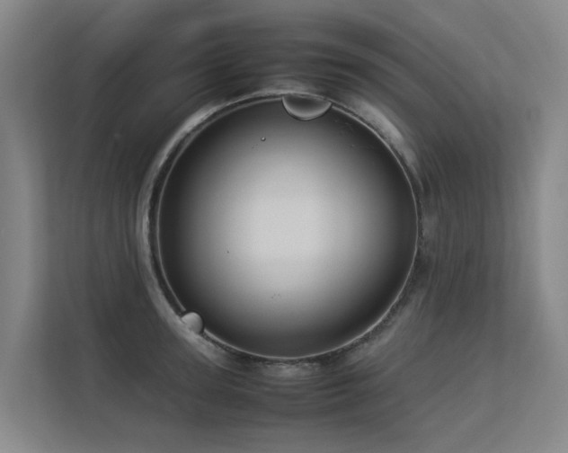 X0000113260947200909101456