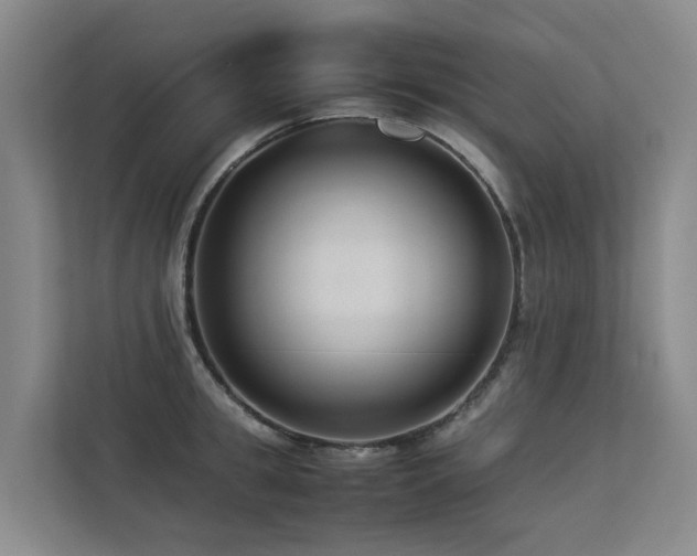 X0000113260949200909101456