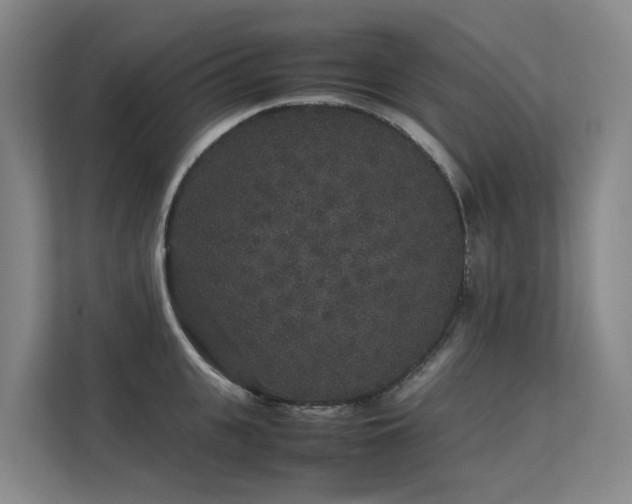 X0000113260951200909101456