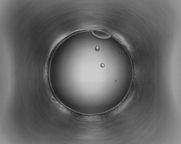 X0000113260952200909101456