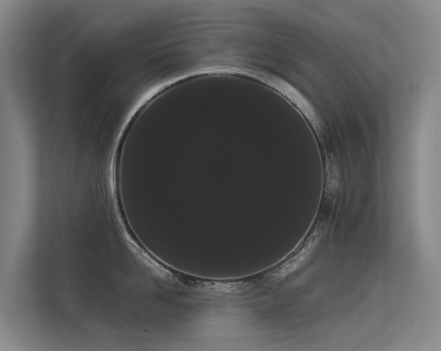 X0000113260958200909101456