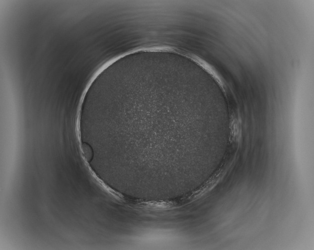 X0000113260959200909101456