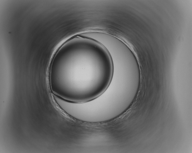 X0000113260960200909101456