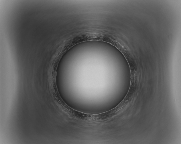 X0000113260961200909101455