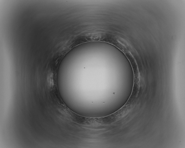 X0000113260962200909101455