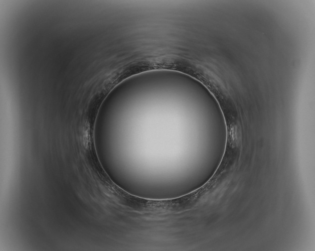 X0000113260963200909101455