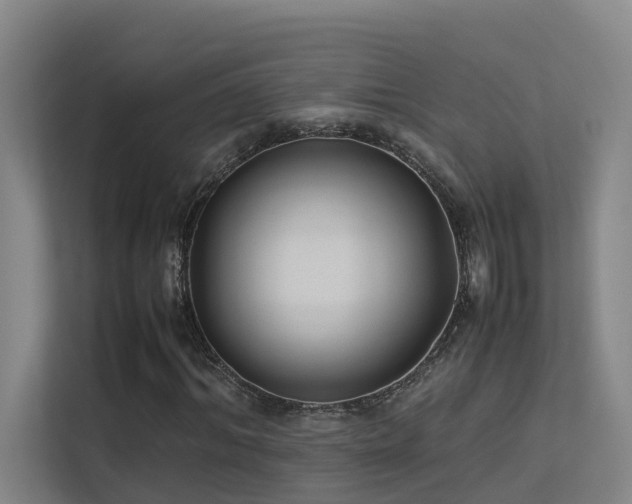 X0000113260964200909101455