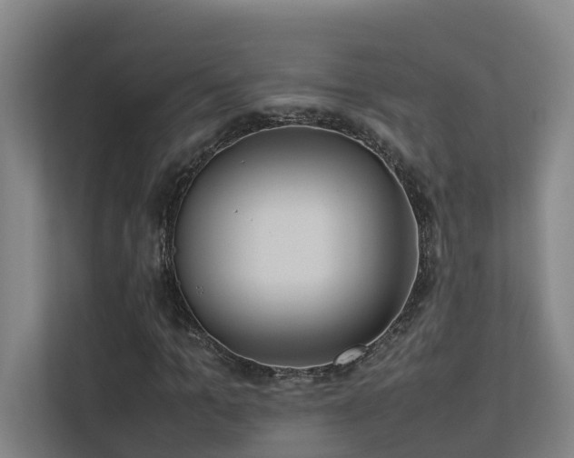 X0000113260965200909101455