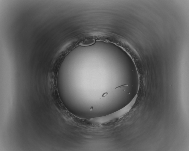 X0000113260968200909101455