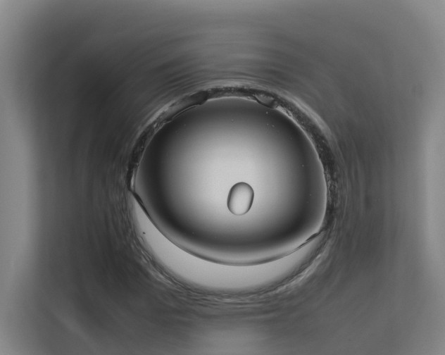 X0000113260969200909101455