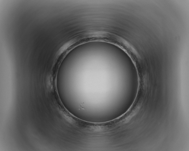 X0000113260970200909101455