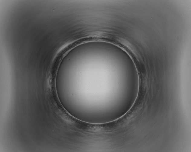 X0000113260971200909101455