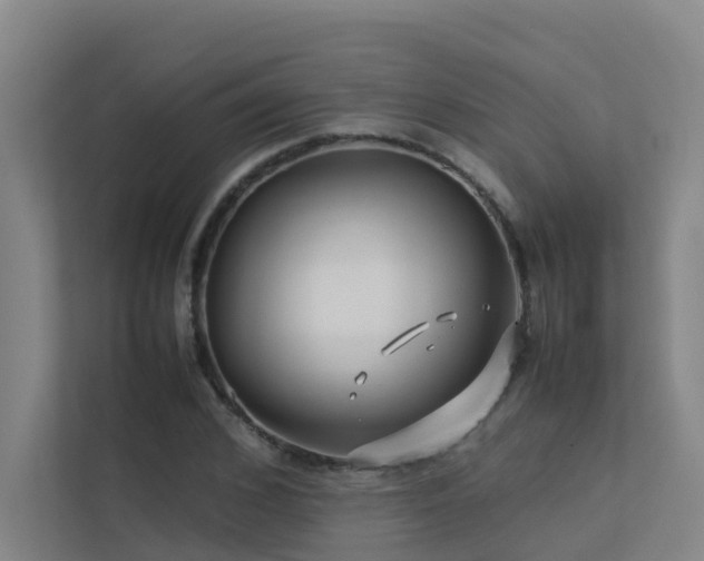 X0000113260976200909101455