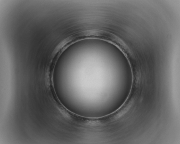 X0000113260978200909101455