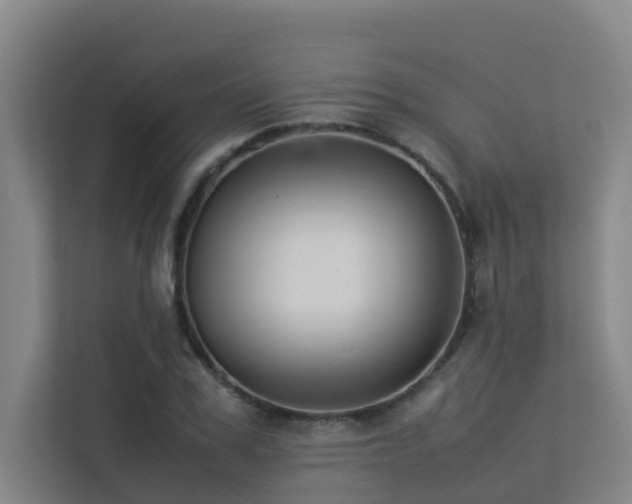 X0000113260979200909101455