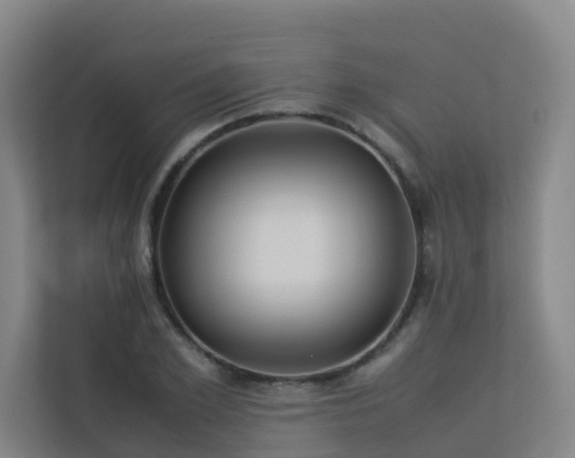 X0000113260981200909101455