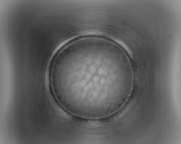 X0000113260983200909101455