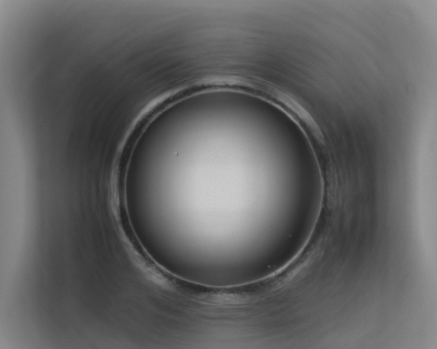 X0000113260984200909101455