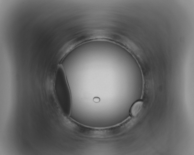 X0000113260985200909101455