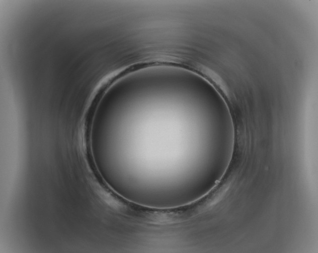 X0000113260987200909101455