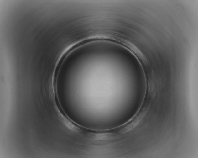 X0000113260988200909101455