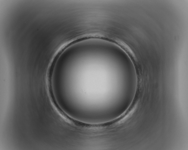 X0000113260989200909101455