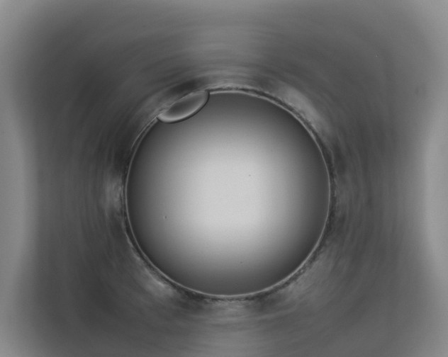 X0000113260993200909101455