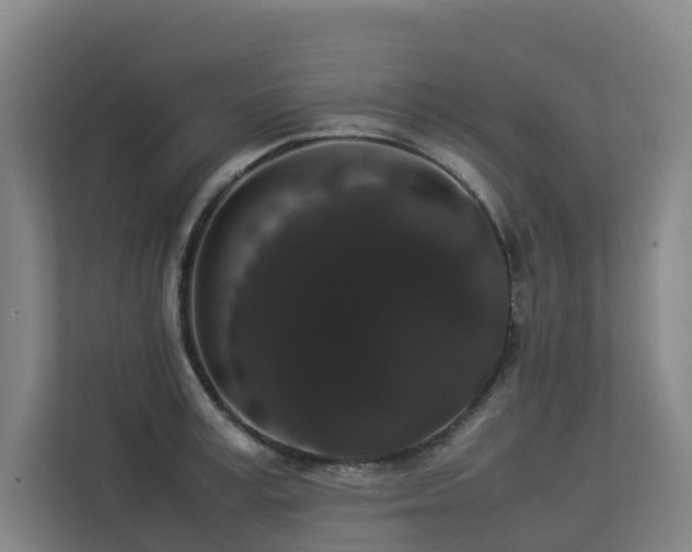 X0000113260995200909101455