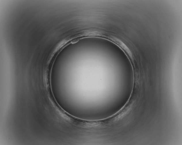 X0000113260997200909101455