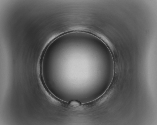 X0000113260999200909101455