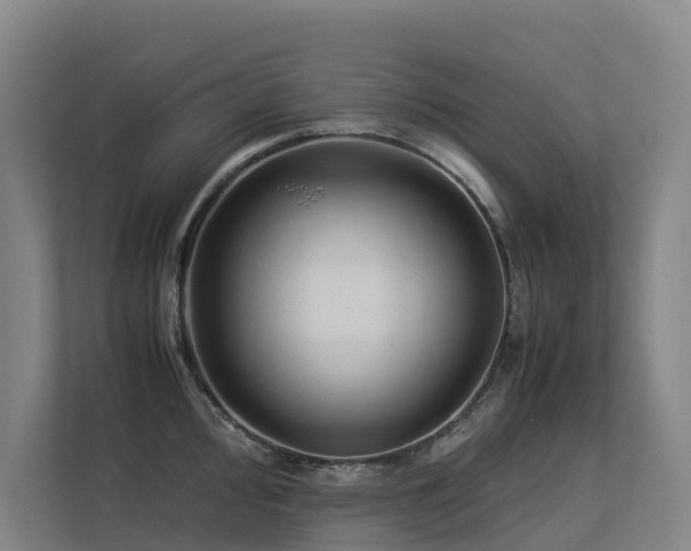 X0000113261000200909101455