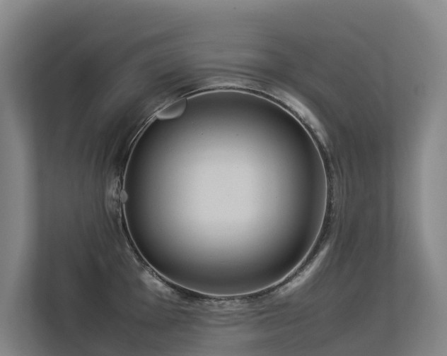 X0000113261001200909101455